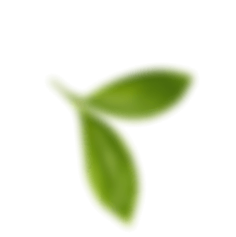 about leaf | O nás