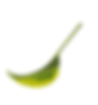 ctaform leaf1 | Úvod