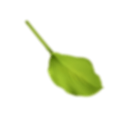ctaform leaf2 | Úvod
